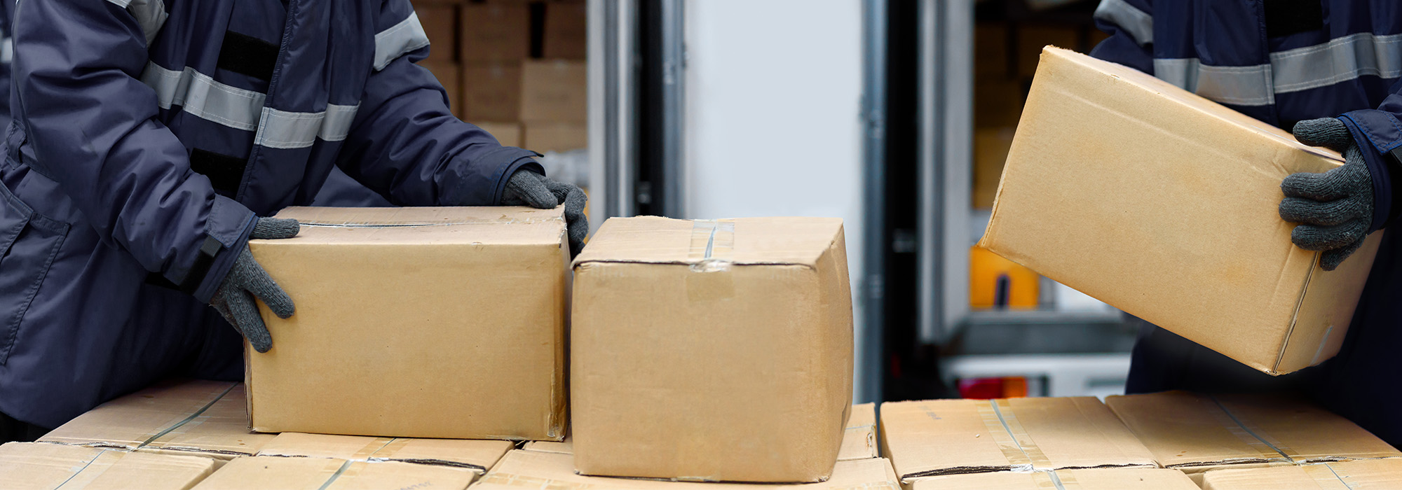 Jele Chewy Ice 9パックセット Amazon.com: Nordic Ice NOR1030 Reusable Long-Lasting Gel